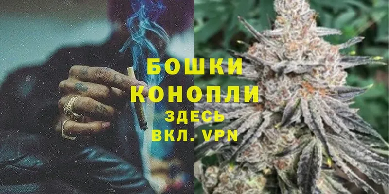 где купить наркоту  Малая Вишера  МАРИХУАНА Amnesia 